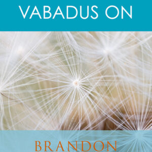 Vabadus on