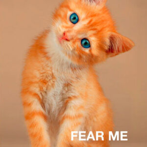 Märkmik Fear me